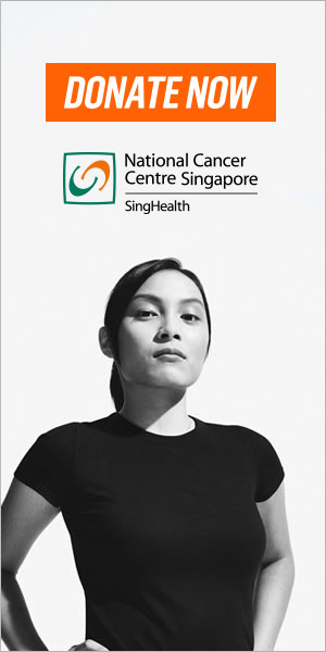 Ian Craig - NCSS campaign - Banner design & development