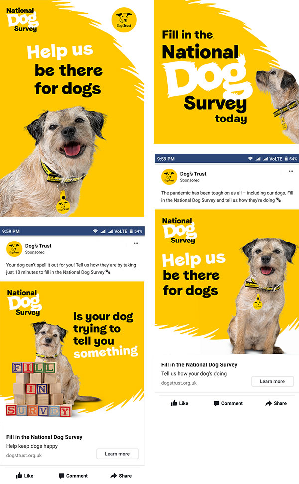 Dogs Trust